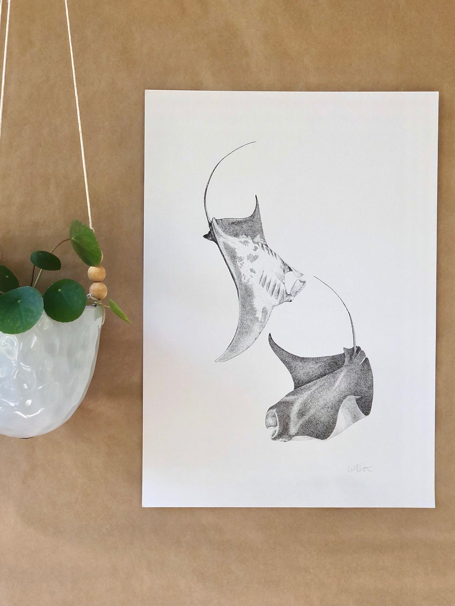 Manta Rays | A3 B&W Fine Art Print