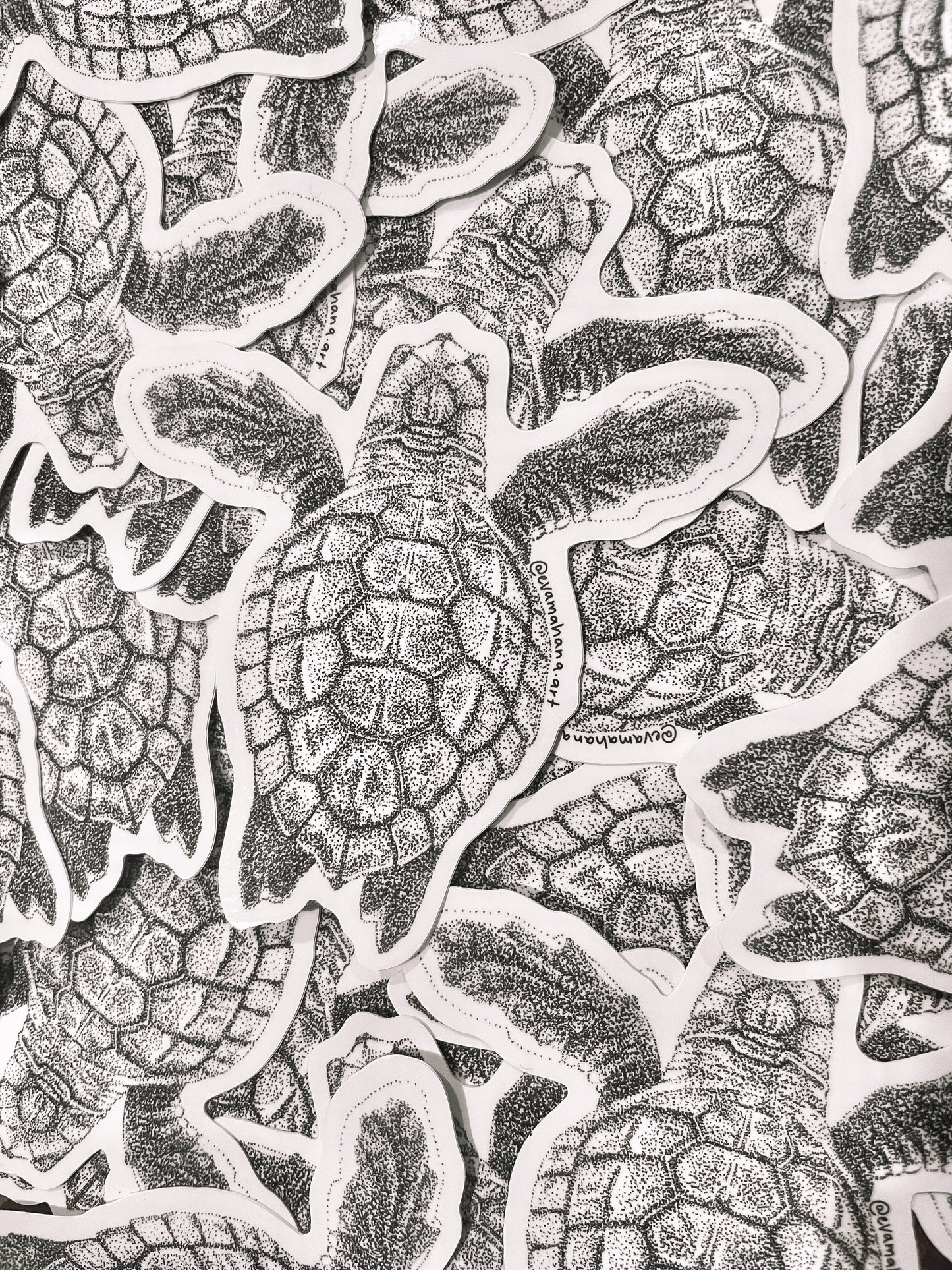 Loggerhead Hatchling Sticker