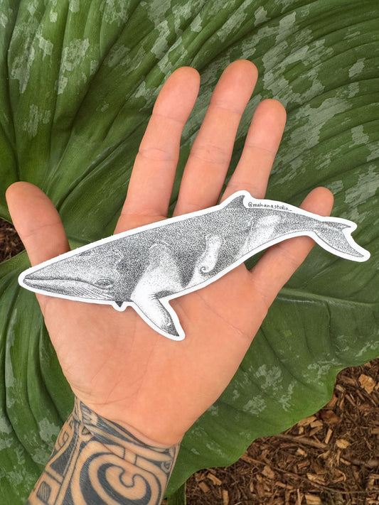 Minke Whale sticker