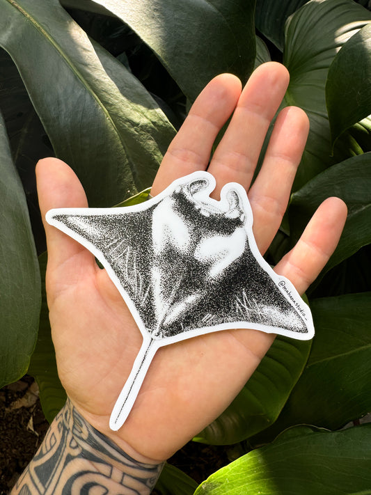 Manta Ray Sticker