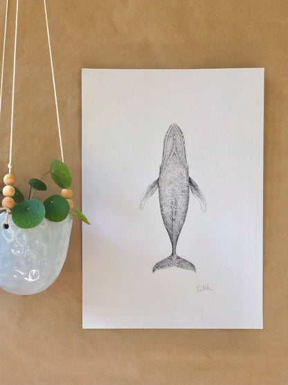 Humpback Whale | A3 B&W Fine Art Print