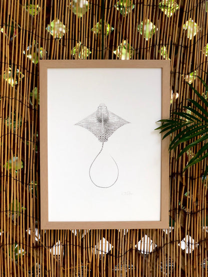 LIMITED EDITION - Ornate Eagle Ray | A3 B&W Fine Art Print