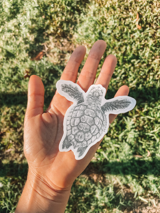 Loggerhead Hatchling Sticker - 9cm